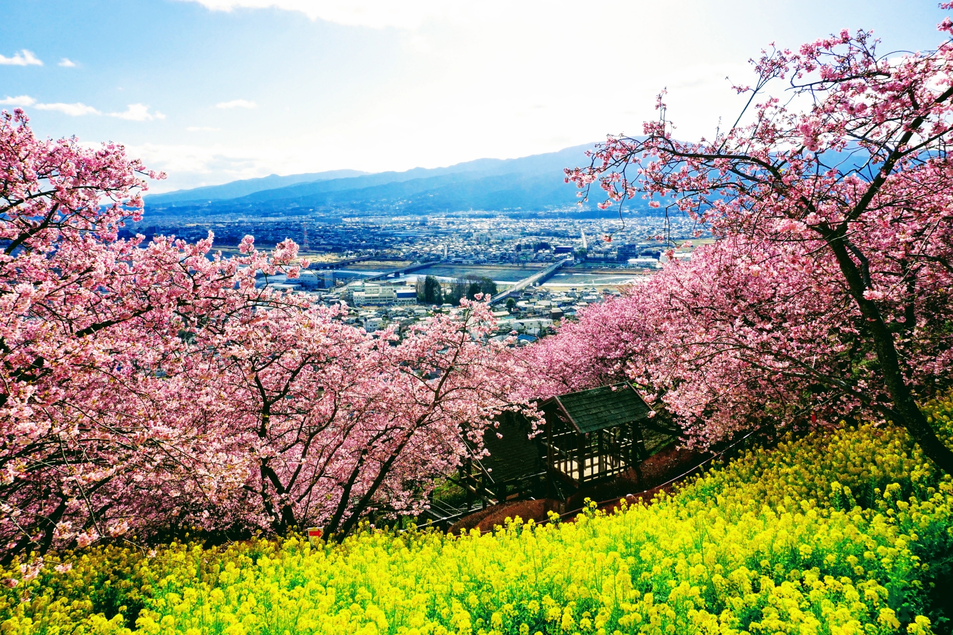 松田町の風景
